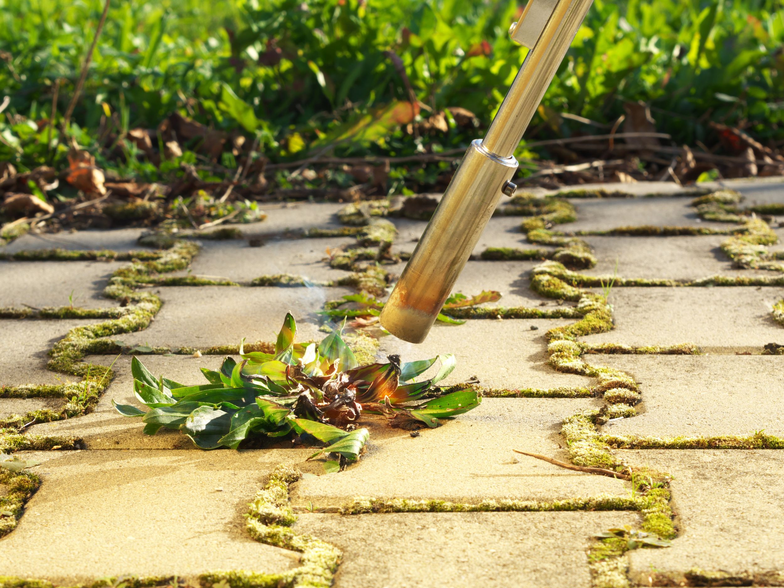 3 Ways to Remove Moss & Weeds from Pavers