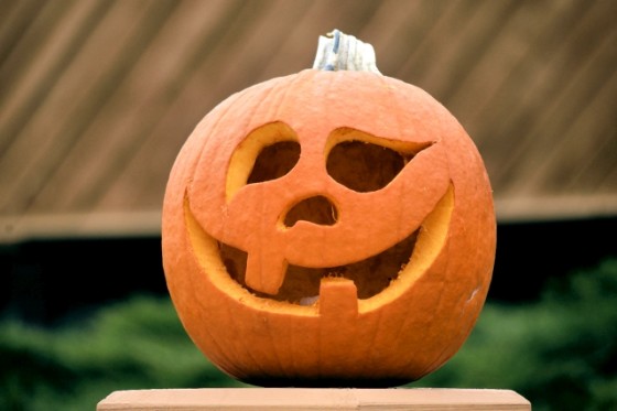 How to Grow Pumpkins For Halloween This Year | Install-It-Direct
