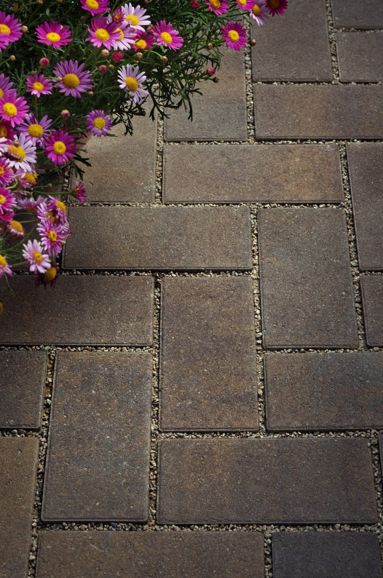 Permeable Pavers Installation Guide PRO Tips + Advice InstallItDirect