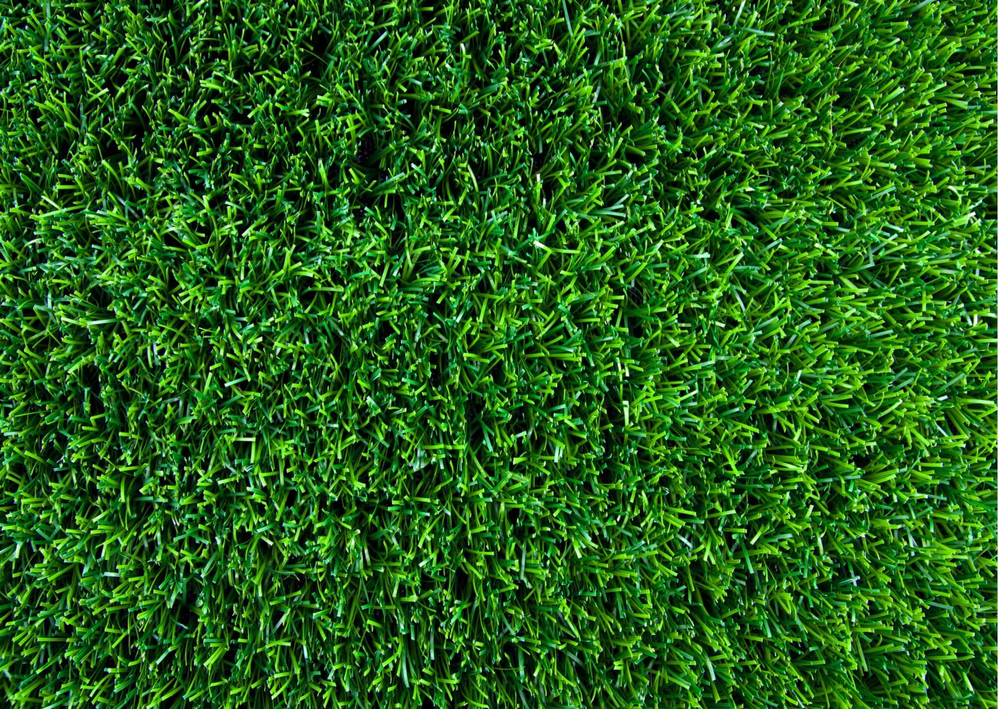 artificial grass