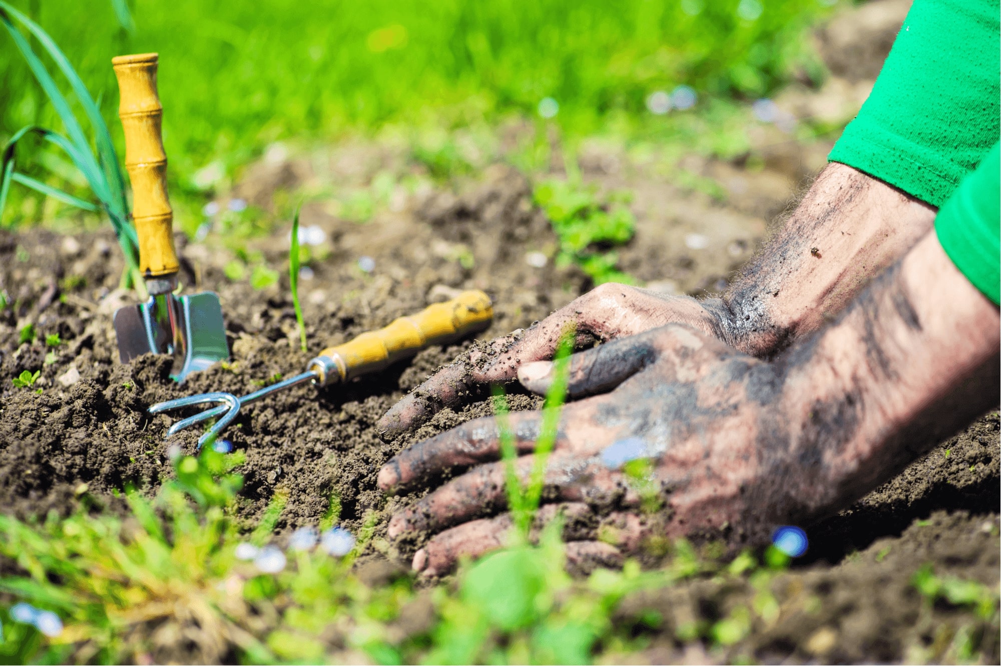 hand care for gardeners