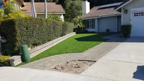 Artificial Pet Turf Installation in San Diego