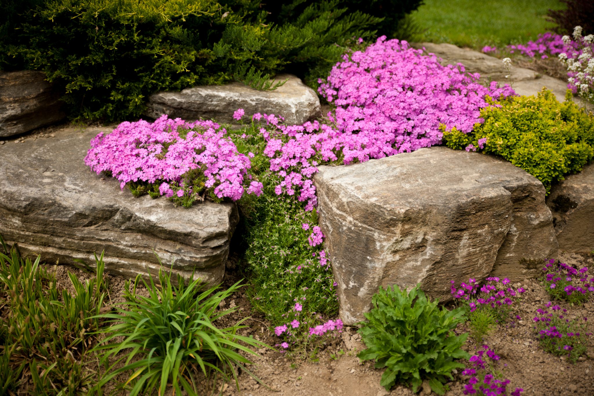 30 Flower Bed Ideas for 2020 | INSTALL-IT-DIRECT