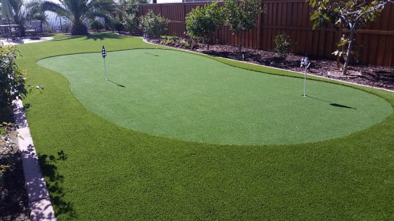 Artificial Pet Turf Installation in San Diego