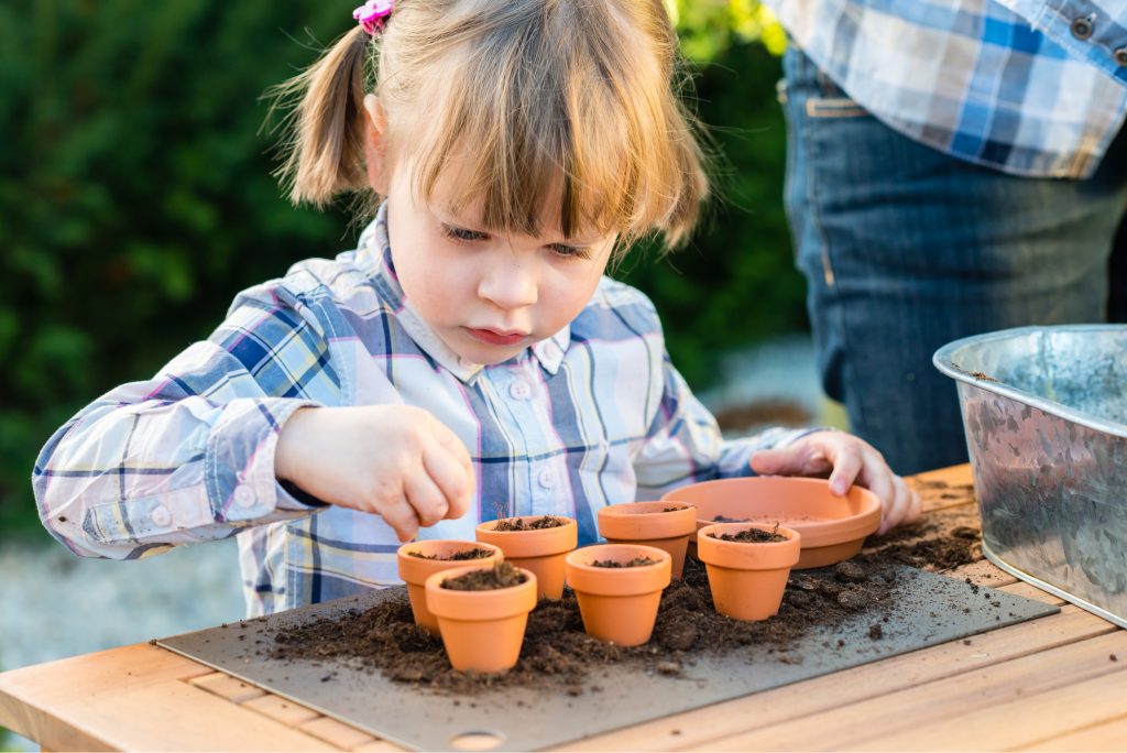 planting prickly pear cactus seeds