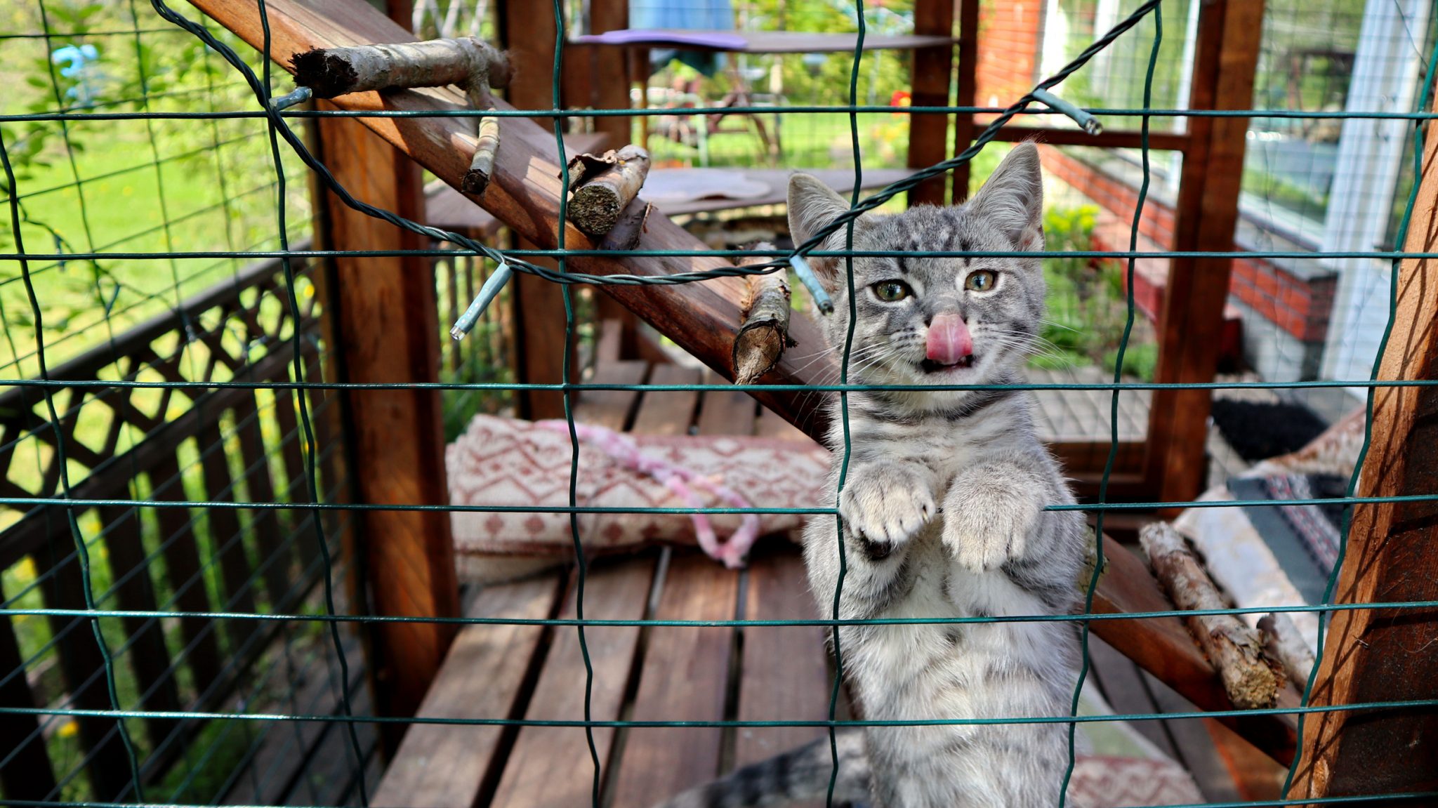 Diy Catio For Your Patio Install It Direct