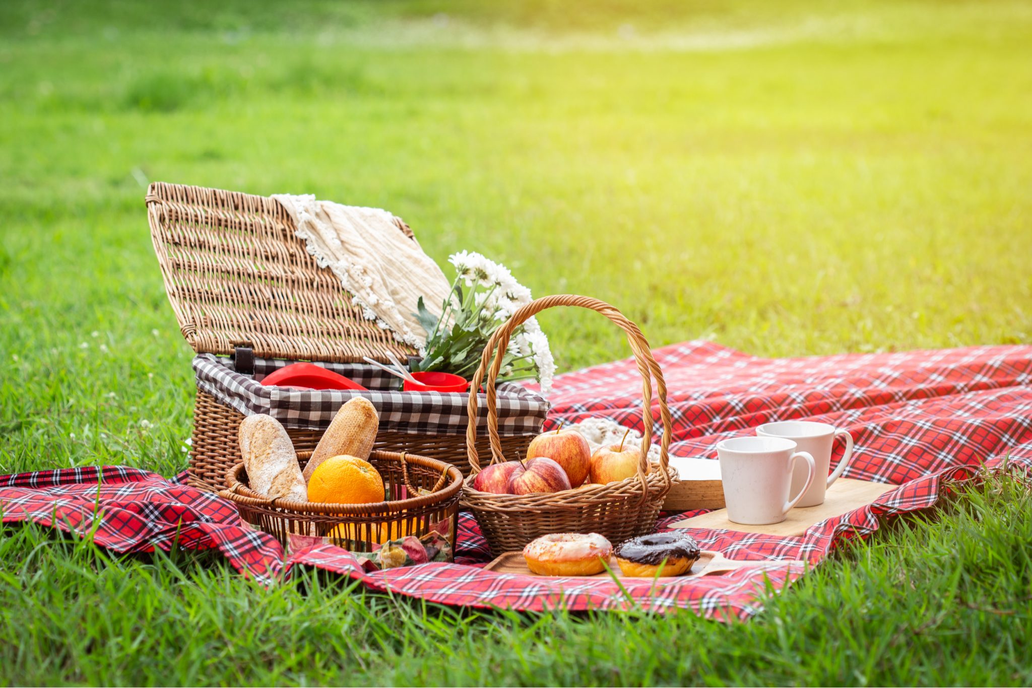 romantic living room picnic ideas