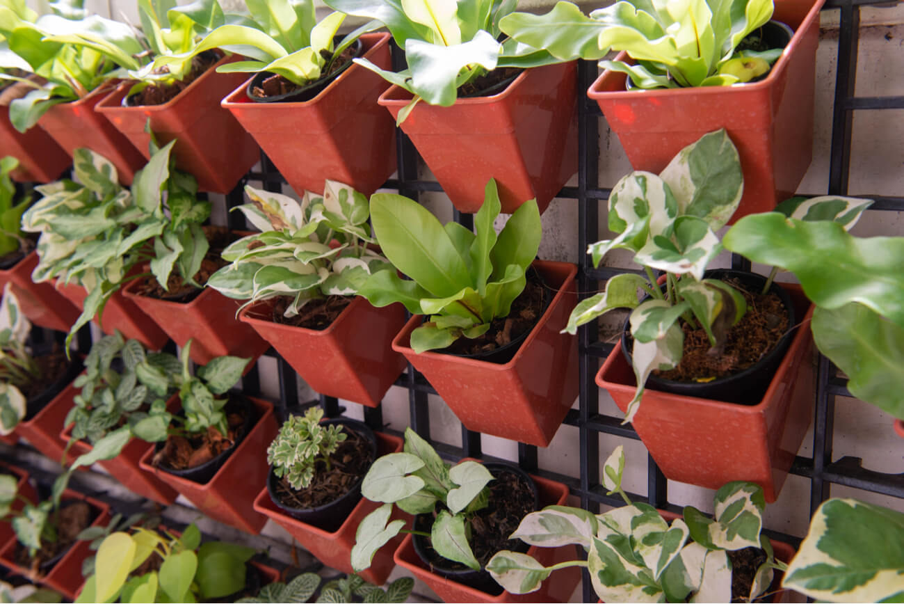 A wall-mounted planter system with a variety of potted plants