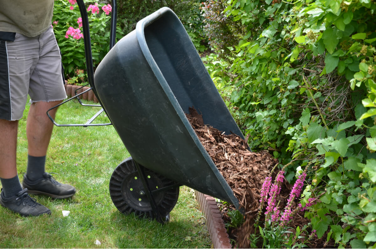 A person dumping mulch from a wheelbarrow 