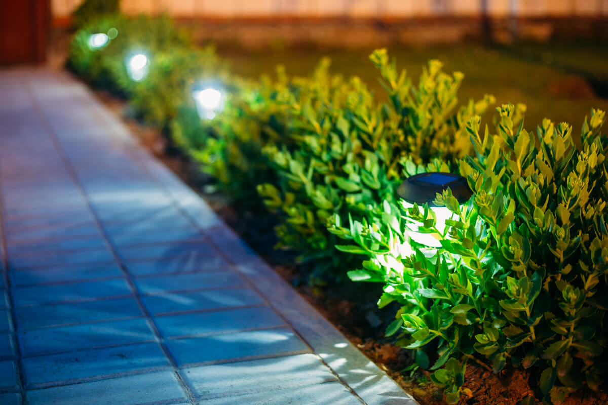 A brick pathway lined with solar-powered lights