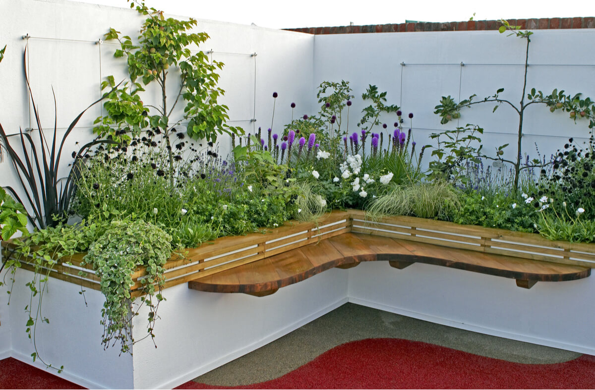 A raised garden bed with colorful flowers